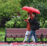 медиасток.рф - MosRegToday.Ru