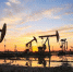 В Индии оценили заявления США по закупкам нефти из РФ - РТВ-Подмосковье