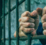 В Госдуме рост преступности связали с всплеском популярности блатной романтики - РТВ-Подмосковье