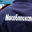 Подмосковные пожарные-спортсмены успешно стартовали на чемпионате мира - Regions.Ru