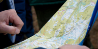 Что нужно знать грибникам, чтобы не заблудиться в подмосковных лесах - Regions.Ru