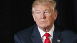 Трамп может приостановить переговоры по Украине из-за отсутствия «гибкости» сторон