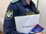 Общественные организации предложили отказаться от термина «алиментщик»