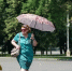 В Москве 30 августа признали самым теплым днем месяца - MosRegToday.Ru