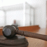 Суд арестовал пассажира электрички за угрозы контролерам из-за национальности - Комсомольская Правда