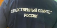 В Щелково следователем задержан мужчина по подозрению в применении насилия в отношении сотрудника полиции и хулиганстве - Следственный комитет
