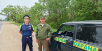 В подмосковных лесах зафиксировали 36 нарушений за неделю - Regions.Ru