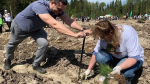 Жителей Московской области пригласили принять участие во всероссийском субботнике