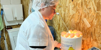 Ветеринары Подмосковья не допустили к продаже 618 единиц яичной продукции после проверки - Regions.Ru