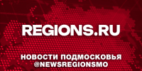 Отец оставленной в Турции и вернувшейся в Подмосковье девочки пропал - Regions.Ru
