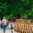 Погожий день с температурой до 22 градусов тепла ожидается 5 сентября - Regions.Ru