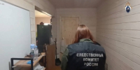 В Чехове возбуждено уголовное дело по факту жестокого обращения с животными - Следственный комитет