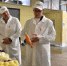 Сергей Двойных проверил ход уборочной кампании и строительство картофелехранилищ - Правительство Московской области