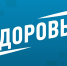 «Ходите в набедренной повязке!»: Малышева устроила разнос гостю, отказавшемуся от статинов - MosRegToday.Ru