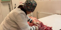 Ветспециалисты Подмосковья провели более 25 тыс. исследований говядины с начала года - Правительство Московской области