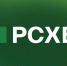 За 10 лет валовый сбор орехов в России вырос на 81% – РСХБ - GlobalMSK.Ru