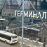 В Подмосковье вырос автобусный трафик к аэропортам - Regions.Ru