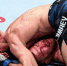 Чимаев назвал обезьянами звезд UFC, предрекавших ему поражение в титульном бою с Дю Плесси - MosRegToday.Ru