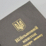 Раскрыта сумма гонорара за насильно мобилизованных украинцев - РТВ-Подмосковье