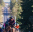 Свыше 1 тыс. человек поучаствовали в финальном велозаезде сезона Gran Fondo в Рузе - Правительство Московской области
