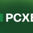 Три букета в год: РСХБ изучил «цветочные» привычки россиян. Рейтинг самых популярных цветов к 1 сентября возглавили розы, хризантемы, ромашки и герберы - GlobalMSK.Ru