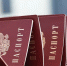 Россиянам рассказали, как сделать важную отметку в паспорте - MosRegToday.Ru