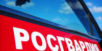 В Подмосковье изъято 124 «огнестрела» - Regions.Ru
