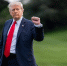 Трамп предрек «нечто великое» после урегулирования конфликта на Украине - РТВ-Подмосковье