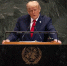 Трамп не исключил введение дополнительных санкций против России - РТВ-Подмосковье