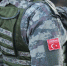 Власти Турции обсуждают отправку военных в сектор Газа - РТВ-Подмосковье