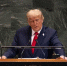 Трамп назвал украинский импичмент в его отношении незаконным - РТВ-Подмосковье