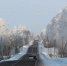 Дорога в Лотошино - MosRegToday.Ru