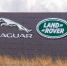 Jaguar утратил права на бренд в России из-за истечения срока регистрации - РТВ-Подмосковье