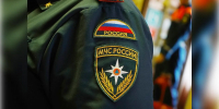Фото: REGIONS/Анна Быкова - MosRegToday.Ru