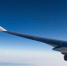 Прокуратура выясняет обстоятельства аварийной посадки лайнера AZAL в Пулково - Вести Подмосковья