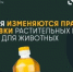 Обязательная маркировка масел и кормов для животных стартует с 1 ноября - Правительство Московской области