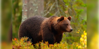 Фото: istockphoto.com/AntonioGuillem - MosRegToday.Ru