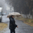 В Роскачестве назвали способы продлить срок службы зонта - MosRegToday.Ru