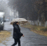 Небольшое потепление и дожди придут в Подмосковье на выходных - Regions.Ru
