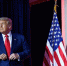 Стало известно о планах Трампа по созданию «золотого» флота - РТВ-Подмосковье