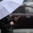 медиасток.рф - MosRegToday.Ru