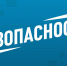 Акула напала на дайвера у берегов США и попыталась откусить ему руку - MosRegToday.Ru