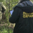 Более 1,2 млн рублей штрафов выписано за нарушения в лесах Подмосковья за неделю - Правительство Московской области
