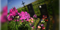 Фото: медиасток.рф - MosRegToday.Ru