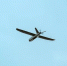 istockphoto/comshcherbak volodymyr - MosRegToday.Ru