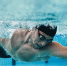 Спортсменов России в водных видах допустили до чемпионатов Европы с 2026 года - РТВ-Подмосковье