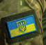Телохранителя прибывшей на Украину Анджелины Джоли чуть не мобилизовали сотрудники ТЦК - РТВ-Подмосковье