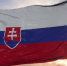 Словакия ответила ЕК на предложение передачи замороженных российских активов Киеву - РТВ-Подмосковье