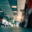 Время скидок окончательно не прошло: как изменились цены на авто в начале ноября - Regions.Ru