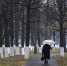медиасток.рф - MosRegToday.Ru